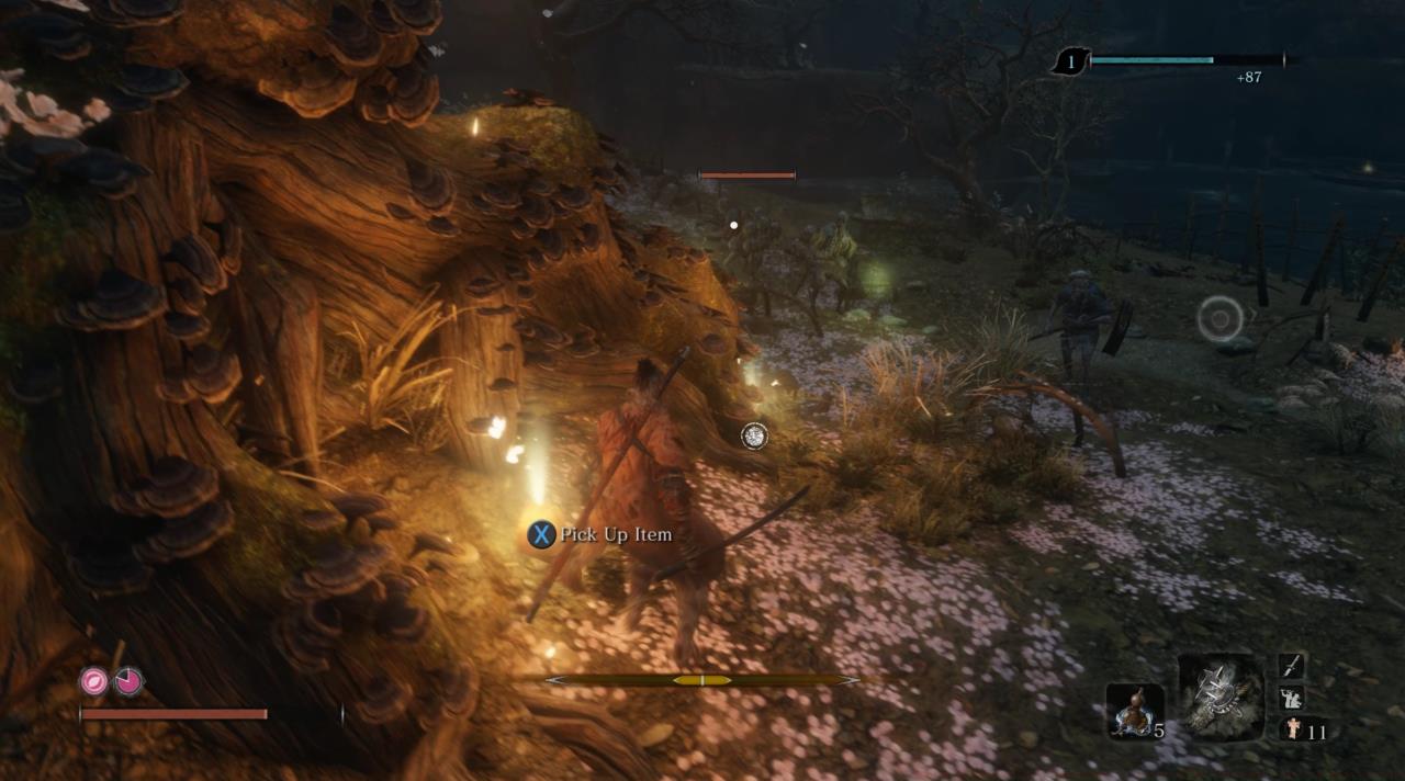 Location 8: Ashina Depths - Mibu Village